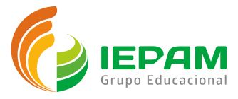 IEPAM - Instituto de Educação Permanente da Amazônia